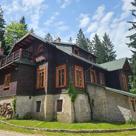 Cross 게스트하우스